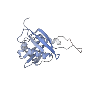 25536_7syp_I_v1-1
Structure of the wt IRES and 40S ribosome binary complex, open conformation. Structure 10(wt)