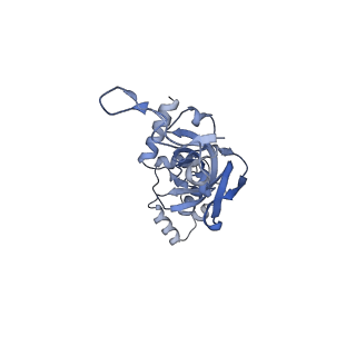 25536_7syp_J_v1-1
Structure of the wt IRES and 40S ribosome binary complex, open conformation. Structure 10(wt)