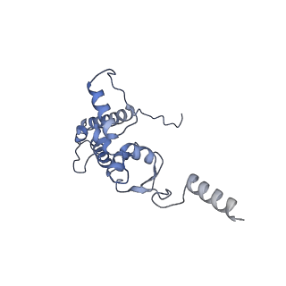 25536_7syp_K_v1-1
Structure of the wt IRES and 40S ribosome binary complex, open conformation. Structure 10(wt)