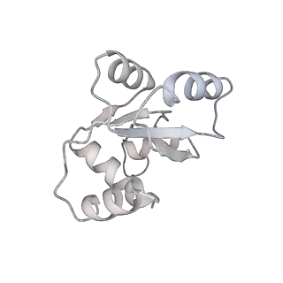 25536_7syp_N_v1-1
Structure of the wt IRES and 40S ribosome binary complex, open conformation. Structure 10(wt)