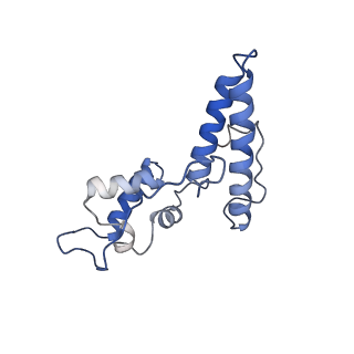 25536_7syp_O_v1-1
Structure of the wt IRES and 40S ribosome binary complex, open conformation. Structure 10(wt)