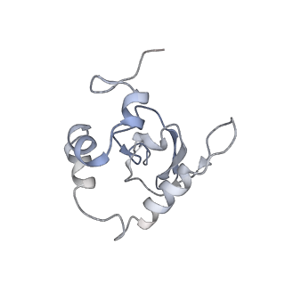 25536_7syp_Q_v1-1
Structure of the wt IRES and 40S ribosome binary complex, open conformation. Structure 10(wt)