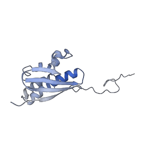 25536_7syp_R_v1-1
Structure of the wt IRES and 40S ribosome binary complex, open conformation. Structure 10(wt)