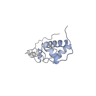 25536_7syp_S_v1-1
Structure of the wt IRES and 40S ribosome binary complex, open conformation. Structure 10(wt)