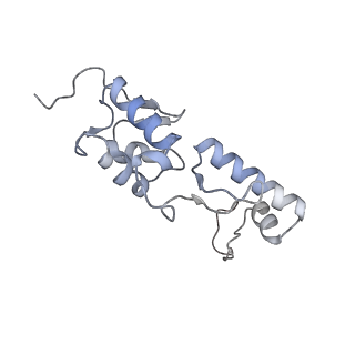 25536_7syp_T_v1-1
Structure of the wt IRES and 40S ribosome binary complex, open conformation. Structure 10(wt)
