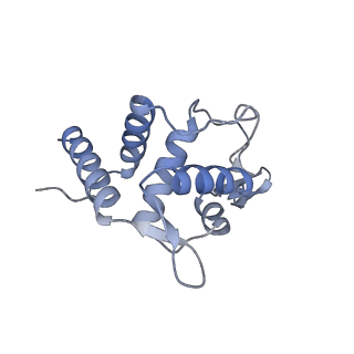 25536_7syp_U_v1-1
Structure of the wt IRES and 40S ribosome binary complex, open conformation. Structure 10(wt)
