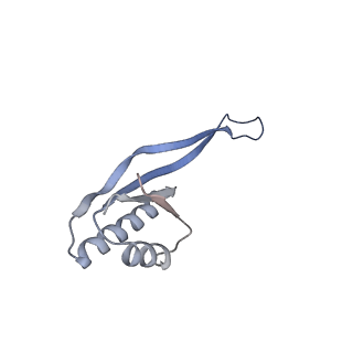 25536_7syp_V_v1-1
Structure of the wt IRES and 40S ribosome binary complex, open conformation. Structure 10(wt)