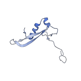25536_7syp_W_v1-1
Structure of the wt IRES and 40S ribosome binary complex, open conformation. Structure 10(wt)