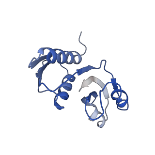 25536_7syp_X_v1-1
Structure of the wt IRES and 40S ribosome binary complex, open conformation. Structure 10(wt)
