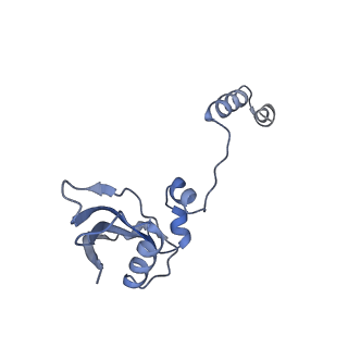 25536_7syp_Z_v1-1
Structure of the wt IRES and 40S ribosome binary complex, open conformation. Structure 10(wt)