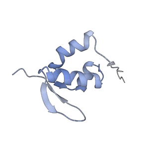 25536_7syp_a_v1-1
Structure of the wt IRES and 40S ribosome binary complex, open conformation. Structure 10(wt)