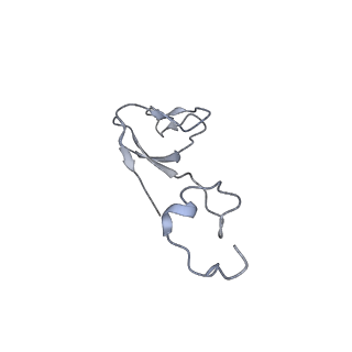25536_7syp_c_v1-1
Structure of the wt IRES and 40S ribosome binary complex, open conformation. Structure 10(wt)