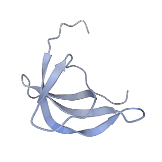 25536_7syp_d_v1-1
Structure of the wt IRES and 40S ribosome binary complex, open conformation. Structure 10(wt)