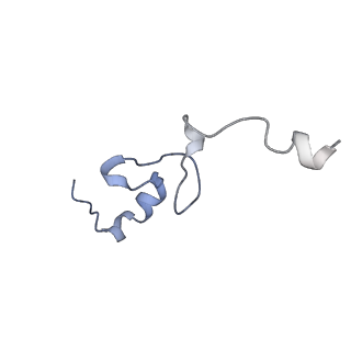 25536_7syp_e_v1-1
Structure of the wt IRES and 40S ribosome binary complex, open conformation. Structure 10(wt)