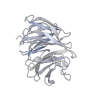 25536_7syp_h_v1-1
Structure of the wt IRES and 40S ribosome binary complex, open conformation. Structure 10(wt)