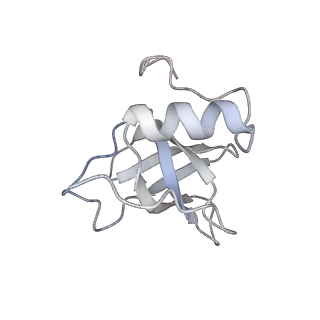 25537_7syq_A_v1-1
Structure of the wt IRES and 40S ribosome ternary complex, open conformation. Structure 11(wt)