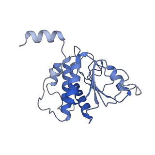 25537_7syq_B_v1-1
Structure of the wt IRES and 40S ribosome ternary complex, open conformation. Structure 11(wt)