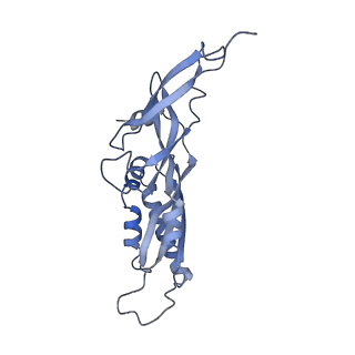25537_7syq_C_v1-1
Structure of the wt IRES and 40S ribosome ternary complex, open conformation. Structure 11(wt)