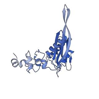 25537_7syq_D_v1-1
Structure of the wt IRES and 40S ribosome ternary complex, open conformation. Structure 11(wt)