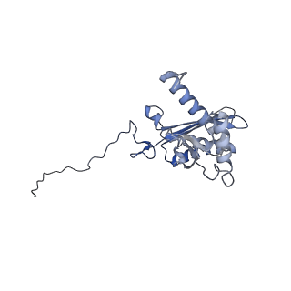 25537_7syq_E_v1-1
Structure of the wt IRES and 40S ribosome ternary complex, open conformation. Structure 11(wt)