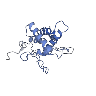 25537_7syq_G_v1-1
Structure of the wt IRES and 40S ribosome ternary complex, open conformation. Structure 11(wt)