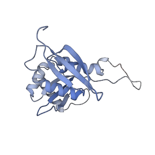 25537_7syq_I_v1-1
Structure of the wt IRES and 40S ribosome ternary complex, open conformation. Structure 11(wt)