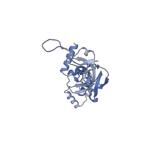 25537_7syq_J_v1-1
Structure of the wt IRES and 40S ribosome ternary complex, open conformation. Structure 11(wt)