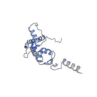 25537_7syq_K_v1-1
Structure of the wt IRES and 40S ribosome ternary complex, open conformation. Structure 11(wt)