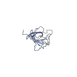 25537_7syq_M_v1-1
Structure of the wt IRES and 40S ribosome ternary complex, open conformation. Structure 11(wt)