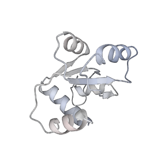 25537_7syq_N_v1-1
Structure of the wt IRES and 40S ribosome ternary complex, open conformation. Structure 11(wt)