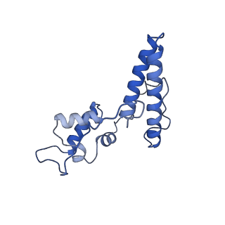 25537_7syq_O_v1-1
Structure of the wt IRES and 40S ribosome ternary complex, open conformation. Structure 11(wt)