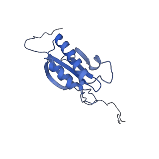 25537_7syq_P_v1-1
Structure of the wt IRES and 40S ribosome ternary complex, open conformation. Structure 11(wt)