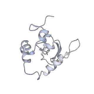 25537_7syq_Q_v1-1
Structure of the wt IRES and 40S ribosome ternary complex, open conformation. Structure 11(wt)