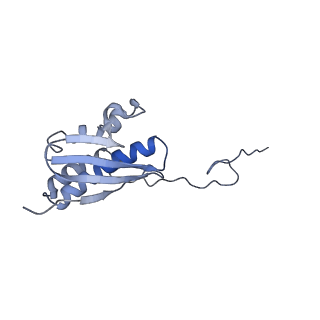 25537_7syq_R_v1-1
Structure of the wt IRES and 40S ribosome ternary complex, open conformation. Structure 11(wt)
