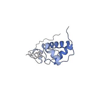 25537_7syq_S_v1-1
Structure of the wt IRES and 40S ribosome ternary complex, open conformation. Structure 11(wt)