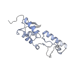 25537_7syq_T_v1-1
Structure of the wt IRES and 40S ribosome ternary complex, open conformation. Structure 11(wt)