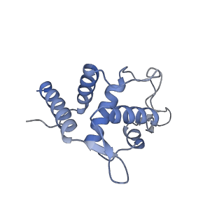 25537_7syq_U_v1-1
Structure of the wt IRES and 40S ribosome ternary complex, open conformation. Structure 11(wt)