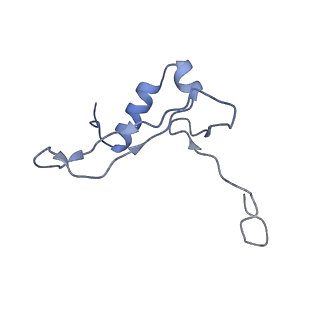 25537_7syq_W_v1-1
Structure of the wt IRES and 40S ribosome ternary complex, open conformation. Structure 11(wt)