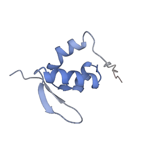 25537_7syq_a_v1-1
Structure of the wt IRES and 40S ribosome ternary complex, open conformation. Structure 11(wt)
