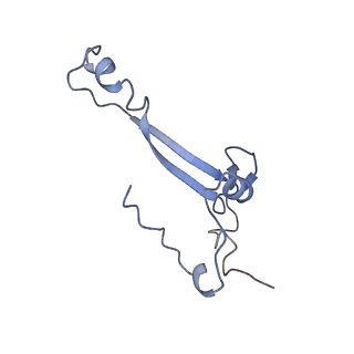 25537_7syq_b_v1-1
Structure of the wt IRES and 40S ribosome ternary complex, open conformation. Structure 11(wt)