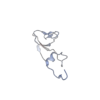 25537_7syq_c_v1-1
Structure of the wt IRES and 40S ribosome ternary complex, open conformation. Structure 11(wt)