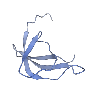 25537_7syq_d_v1-1
Structure of the wt IRES and 40S ribosome ternary complex, open conformation. Structure 11(wt)