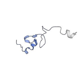 25537_7syq_e_v1-1
Structure of the wt IRES and 40S ribosome ternary complex, open conformation. Structure 11(wt)