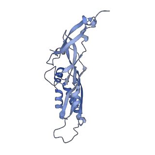 25538_7syr_C_v1-1
Structure of the wt IRES eIF2-containing 48S initiation complex, closed conformation. Structure 12(wt).