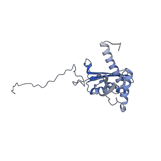 25538_7syr_E_v1-1
Structure of the wt IRES eIF2-containing 48S initiation complex, closed conformation. Structure 12(wt).