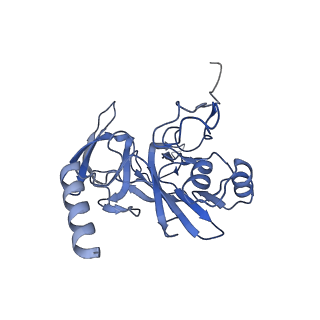 25538_7syr_F_v1-1
Structure of the wt IRES eIF2-containing 48S initiation complex, closed conformation. Structure 12(wt).
