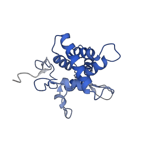 25538_7syr_G_v1-1
Structure of the wt IRES eIF2-containing 48S initiation complex, closed conformation. Structure 12(wt).