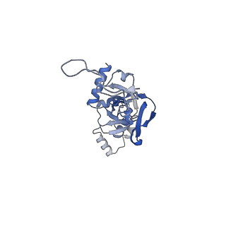 25538_7syr_J_v1-1
Structure of the wt IRES eIF2-containing 48S initiation complex, closed conformation. Structure 12(wt).