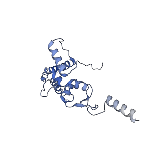 25538_7syr_K_v1-1
Structure of the wt IRES eIF2-containing 48S initiation complex, closed conformation. Structure 12(wt).