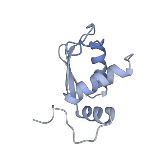 25538_7syr_L_v1-1
Structure of the wt IRES eIF2-containing 48S initiation complex, closed conformation. Structure 12(wt).